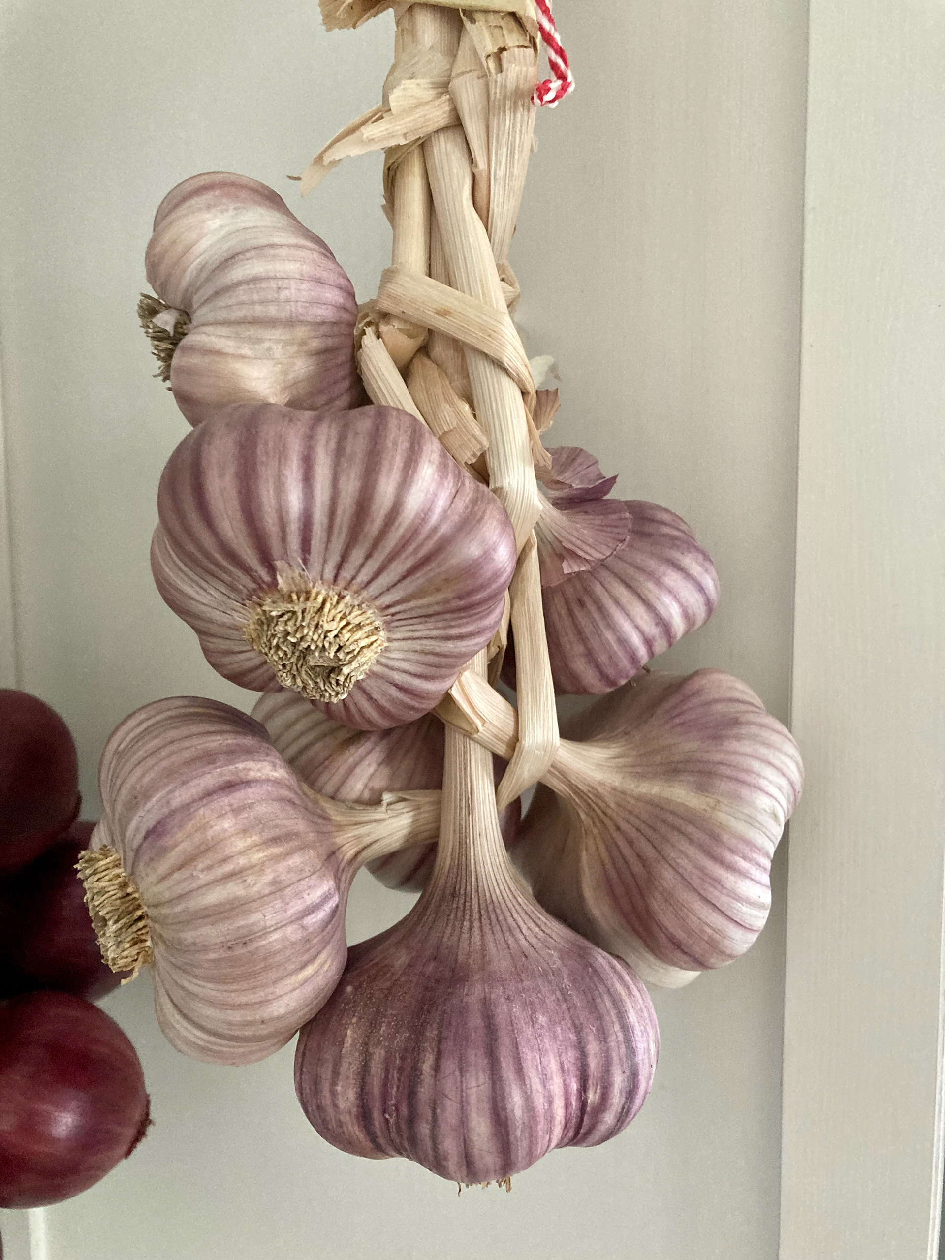 String of garlic